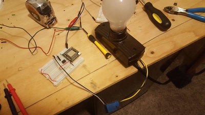 A breadboard plus a 110v incandescent bulb controlled via relay